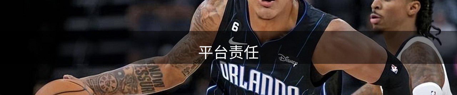 平台责任